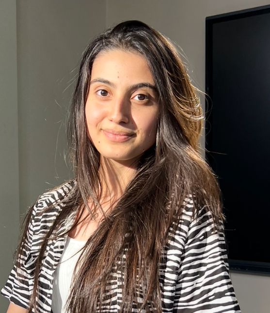 بيلسان ضبابات